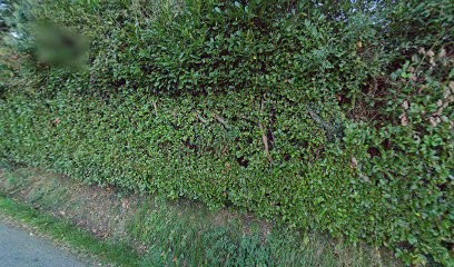 X PERF SANTE, Entraineur Personnel à Loucrup