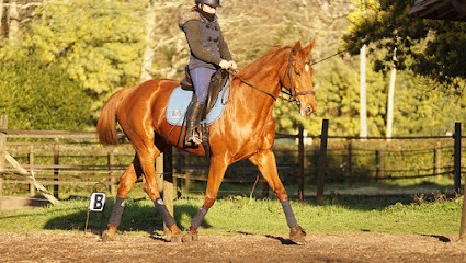 Julie Cailhau Monitrice D’équitation, Entraineur Personnel à Vendays-Montalivet
