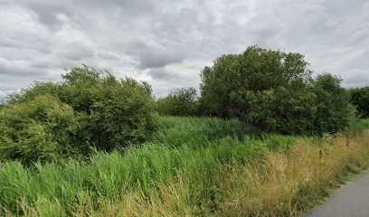 AT COACHING, Entraineur Personnel à Villeneuve-en-Retz