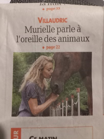 Murielle Energie Communicatrice Animalière, Formatrice Et Coach, Entraineur Personnel à Villaudric