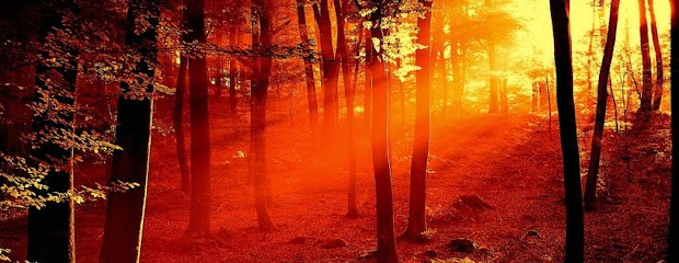 L.A PrépaMentale, Entraineur Personnel à Rochefort