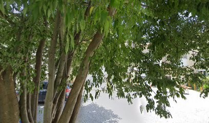 Fontaine Marie -Thérapie Brève - Coaching, Développement Personnel Et Professionnel, Entraineur Personnel à Nyons