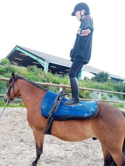 Equithérapie Emmanuelle Derville - Mon Alter Egaux, Entraineur Personnel à Lambersart