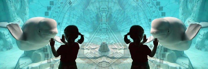 designhumain.eu, Entraineur Personnel à Couiza