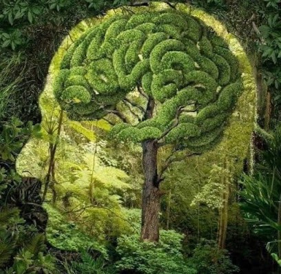 ATYPIC BLOOM Laurence Delpech, Entraineur Personnel à Tresses