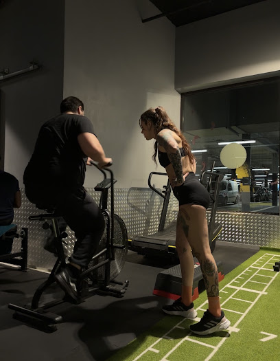 Vairus Coaching, Entraîneur Personnel au Mans