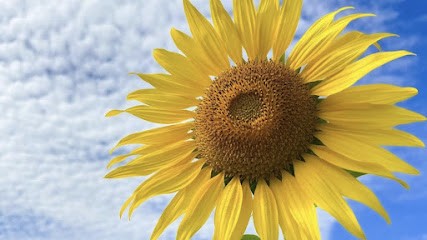 Coach Certifiée En Psychologie Positive, Coach De Vie, Coach En Développement Personnel, Entraineur Personnel à Rueil-Malmaison