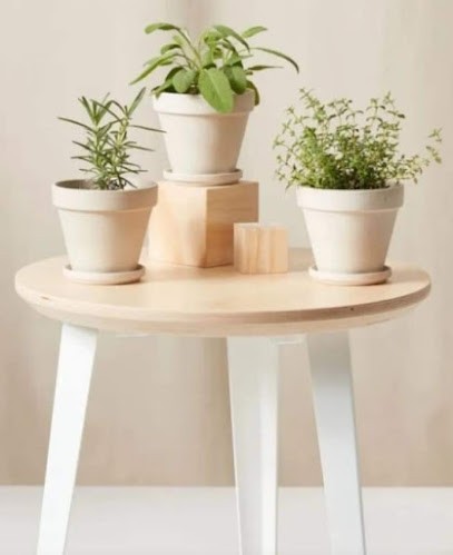 HOM Organiser | Cécile Marchal, Entraineur Personnel à Orgelet