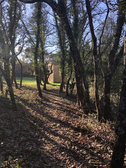 Céline Verneau-Hofer Journée Bien Être Yoga Du Rire Coaching PNL, Entraineur Personnel à Trets