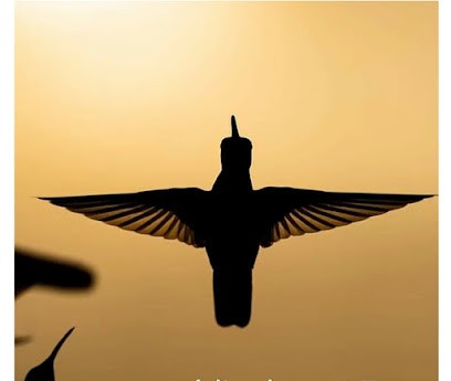 Noemy Houang Praticienne En Scan Bioénergétique, Coaching Et Lithothėrapeute, Entraineur Personnel à Velaux