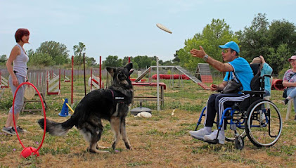 Apa De Chien - Activités Physiques Adaptées Et Médiation Animale, Entraîneur Personnel à Nîmes