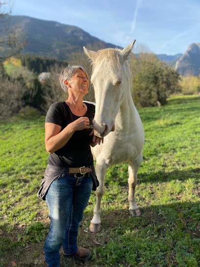 Charlotte et les Chérubins - Comportementaliste équin, Entraineur Personnel à Saint-Pierre-de-Chartreuse