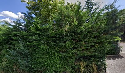 yin coaching, Entraineur Personnel à Échenevex