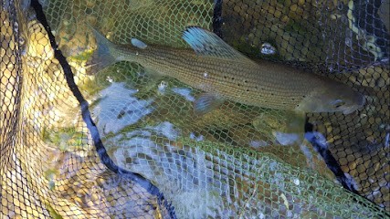 Nokillus guide de peche Ain Rhône Alpes, Entraineur Personnel à Saint-Nizier-le-Désert