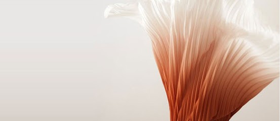 iDiMWAYS, Entraineur Personnel à Houilles