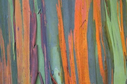 Thérapeute Holistique Angers - Christine Azard - HoloPsycho, Entraineur Personnel à Angers