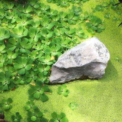 Isabelle Armagnat - Relaxation, Entraineur Personnel à Sexey-aux-Forges